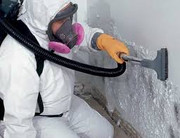 Best Environmental Consulting for Mold Prevention  in Bargersville, IN